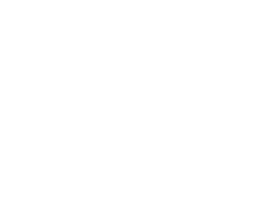2.bmp