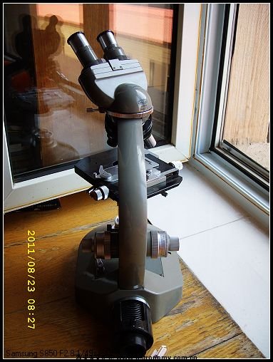 SS850394.jpg