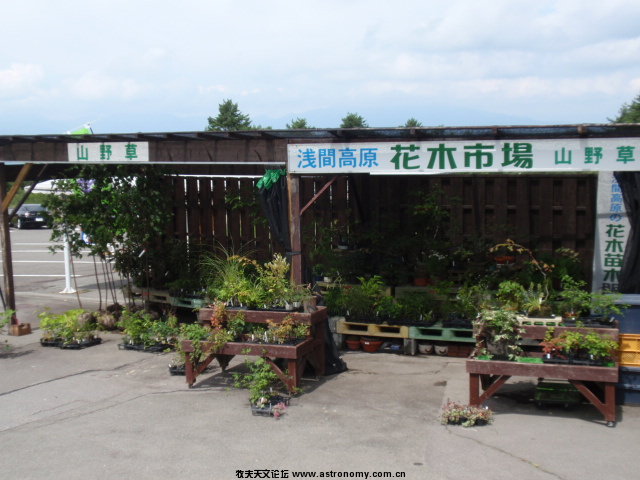 P8302508.JPG