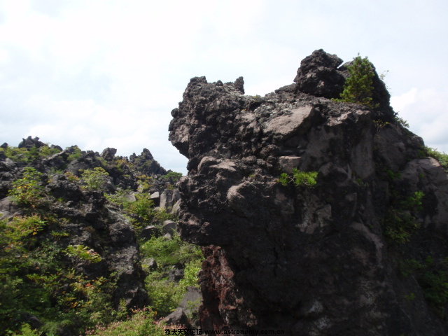 P8302552.JPG