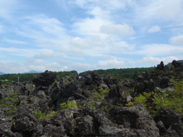 P8302623.JPG