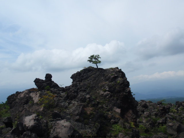 P8302624.JPG