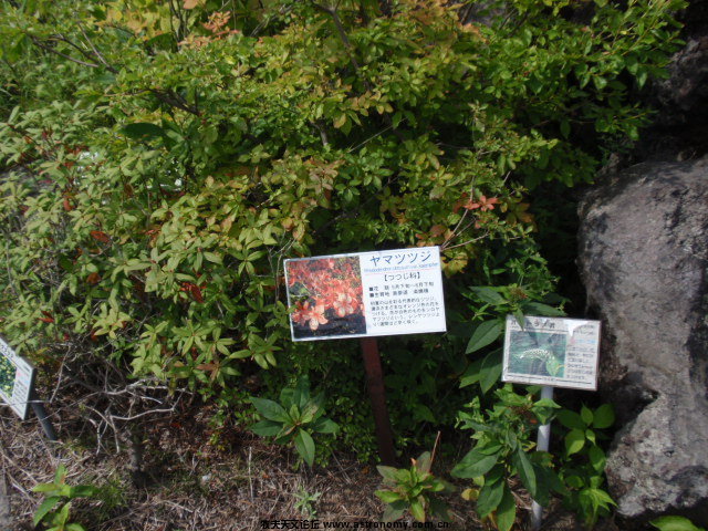 P8302626.JPG