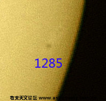 1285.jpg