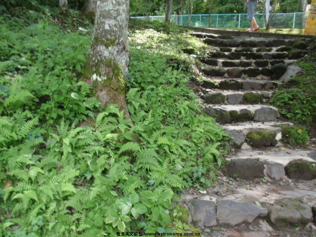 P8302655.JPG