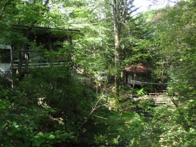 P8302658.JPG