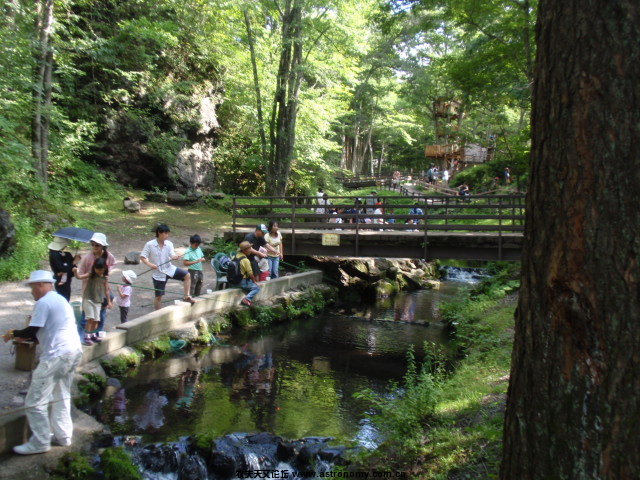 P8302664.JPG
