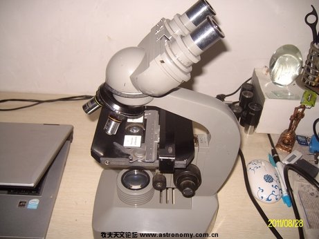ALIM0099.jpg