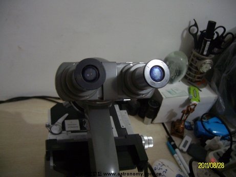 ALIM0101.jpg
