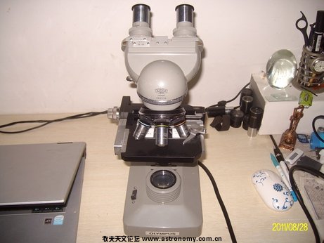 ALIM0097.jpg