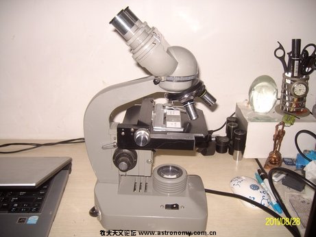 ALIM0098.jpg