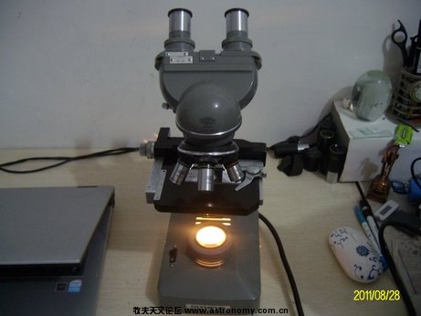 ALIM0095.jpg