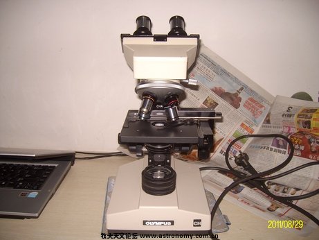 ALIM0105.jpg