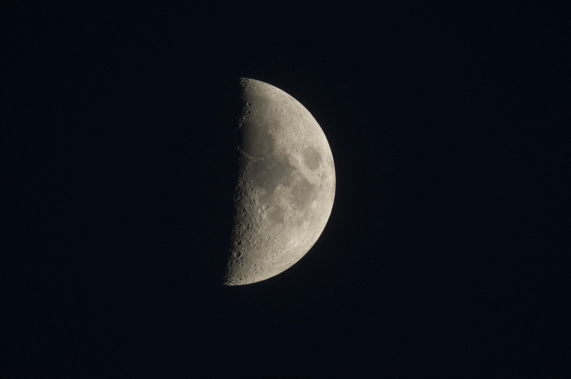 IMGP0469.jpg