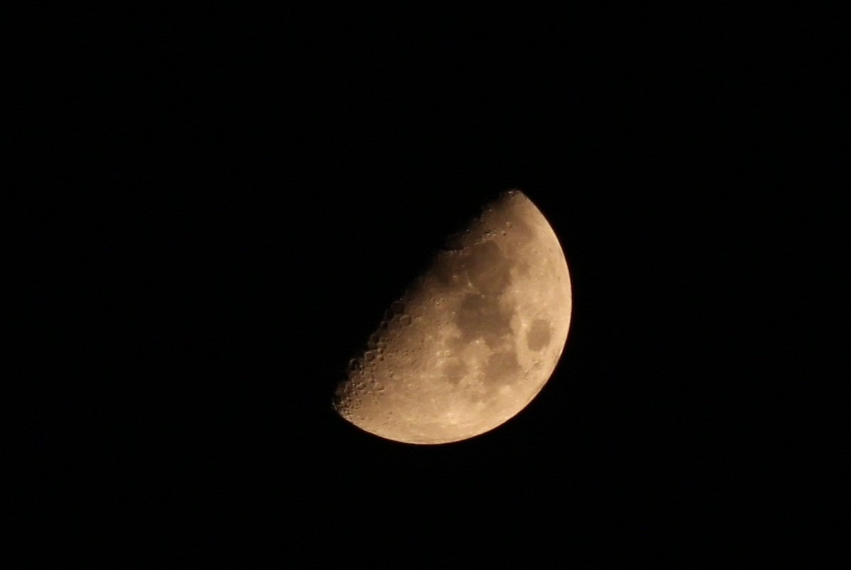 IMG_7956.JPG