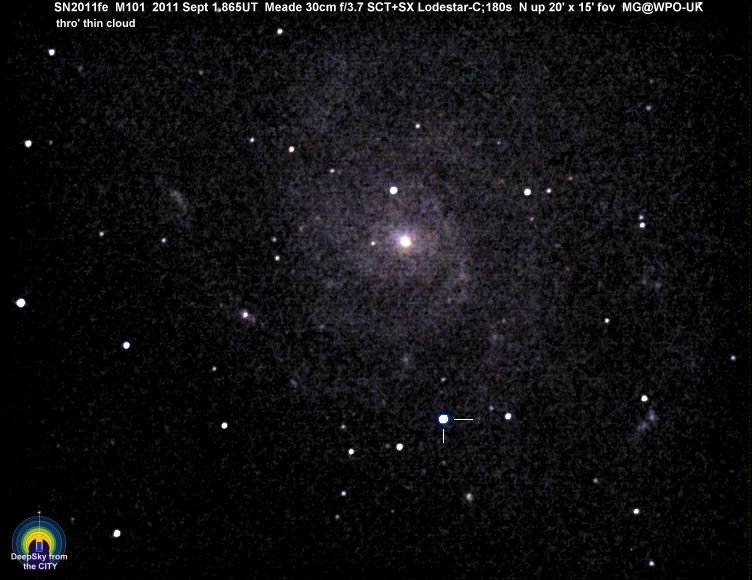 4790897-m101sn110901mg.jpg