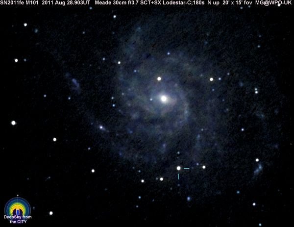 4775538-m101sn110828x180mg.jpg