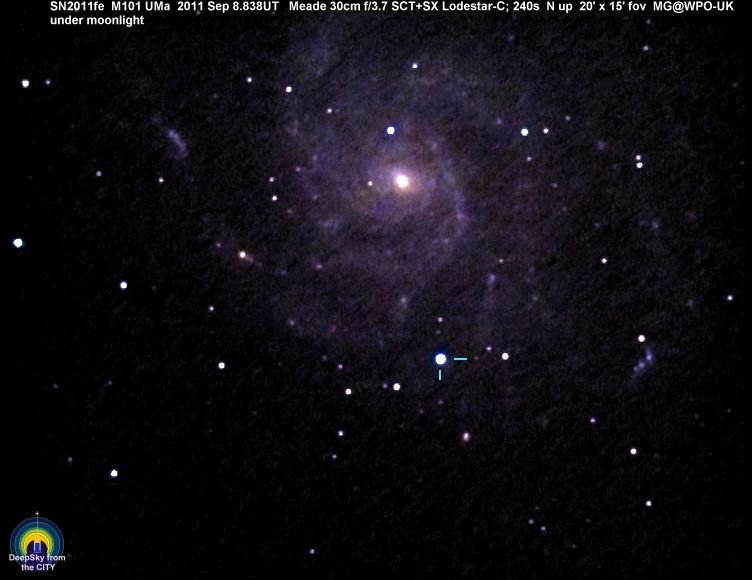 4796959-m101sn110908mg.jpg