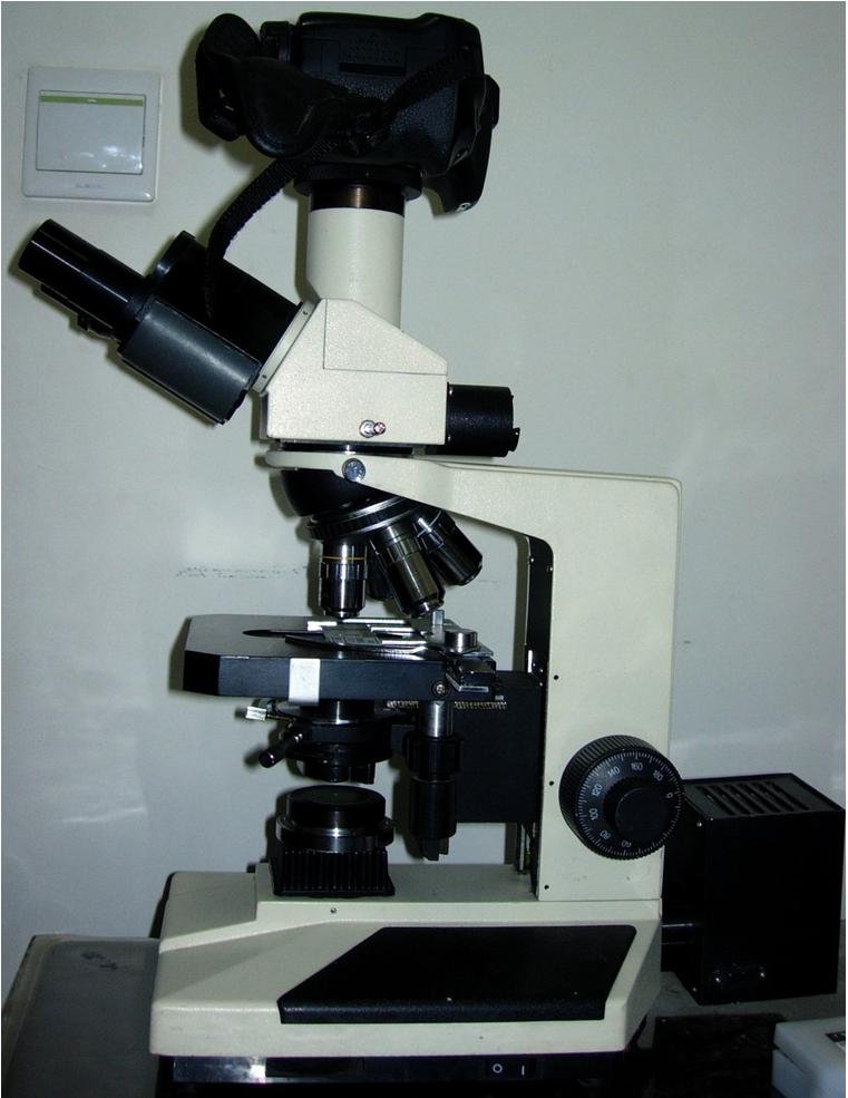 国产 显微镜.jpg