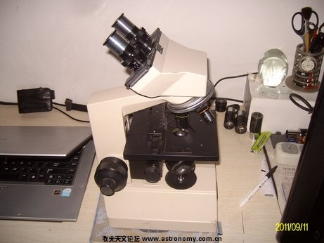ALIM0195.jpg