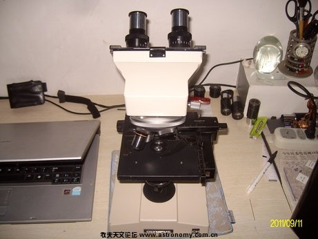 ALIM0196.jpg