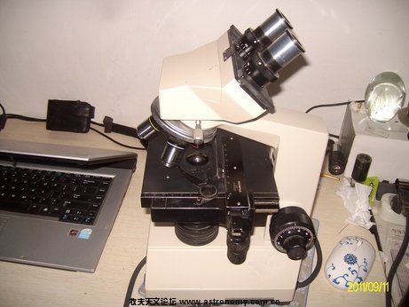 ALIM0212.jpg