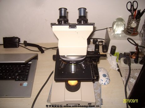 ALIM0211.jpg