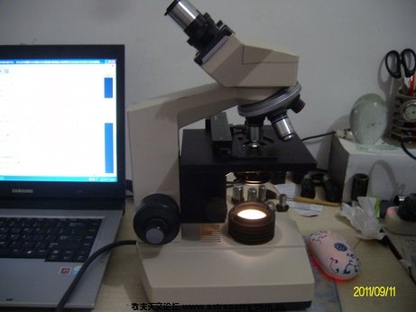 ALIM0210.jpg