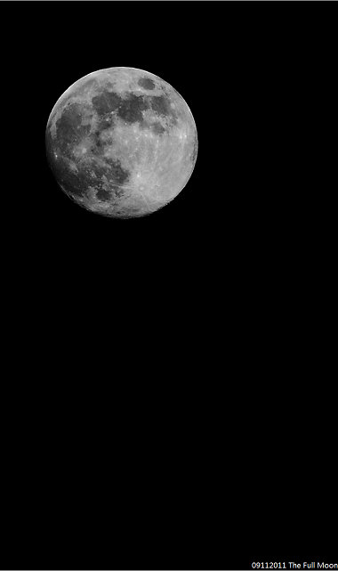 DSC05531_ss.jpg