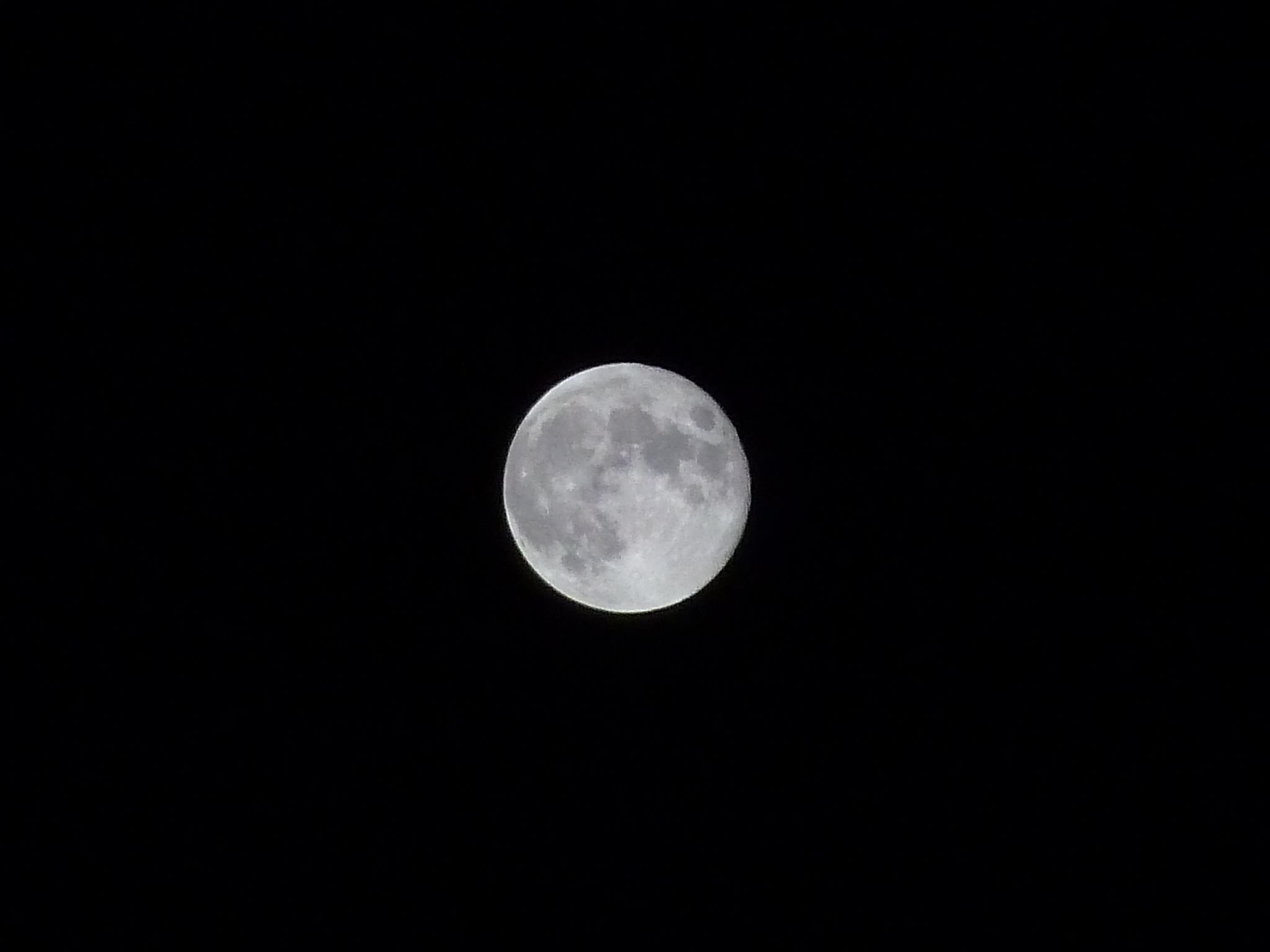 P1020813.jpg