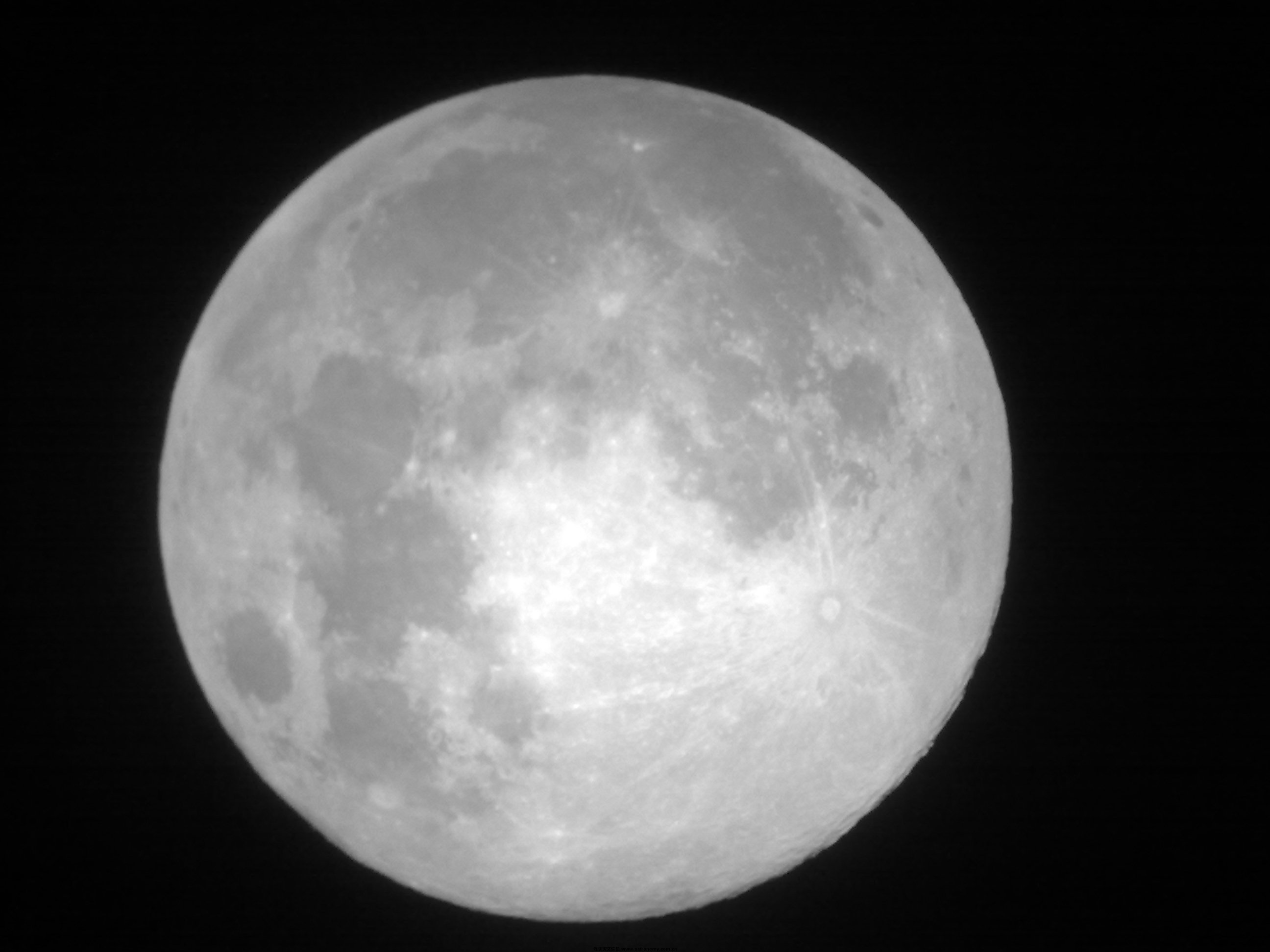 20110912866.jpg
