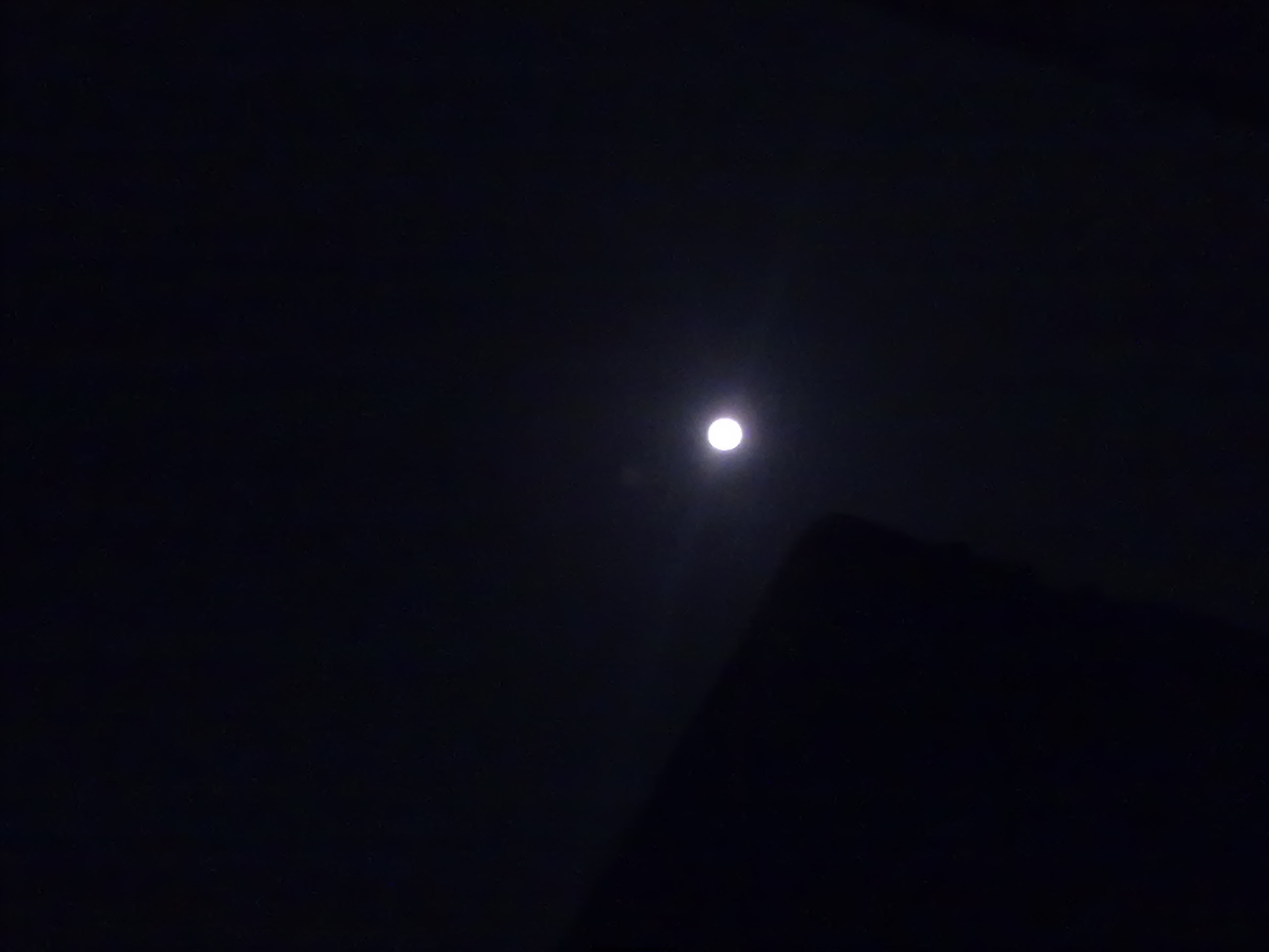 20110912892.jpg