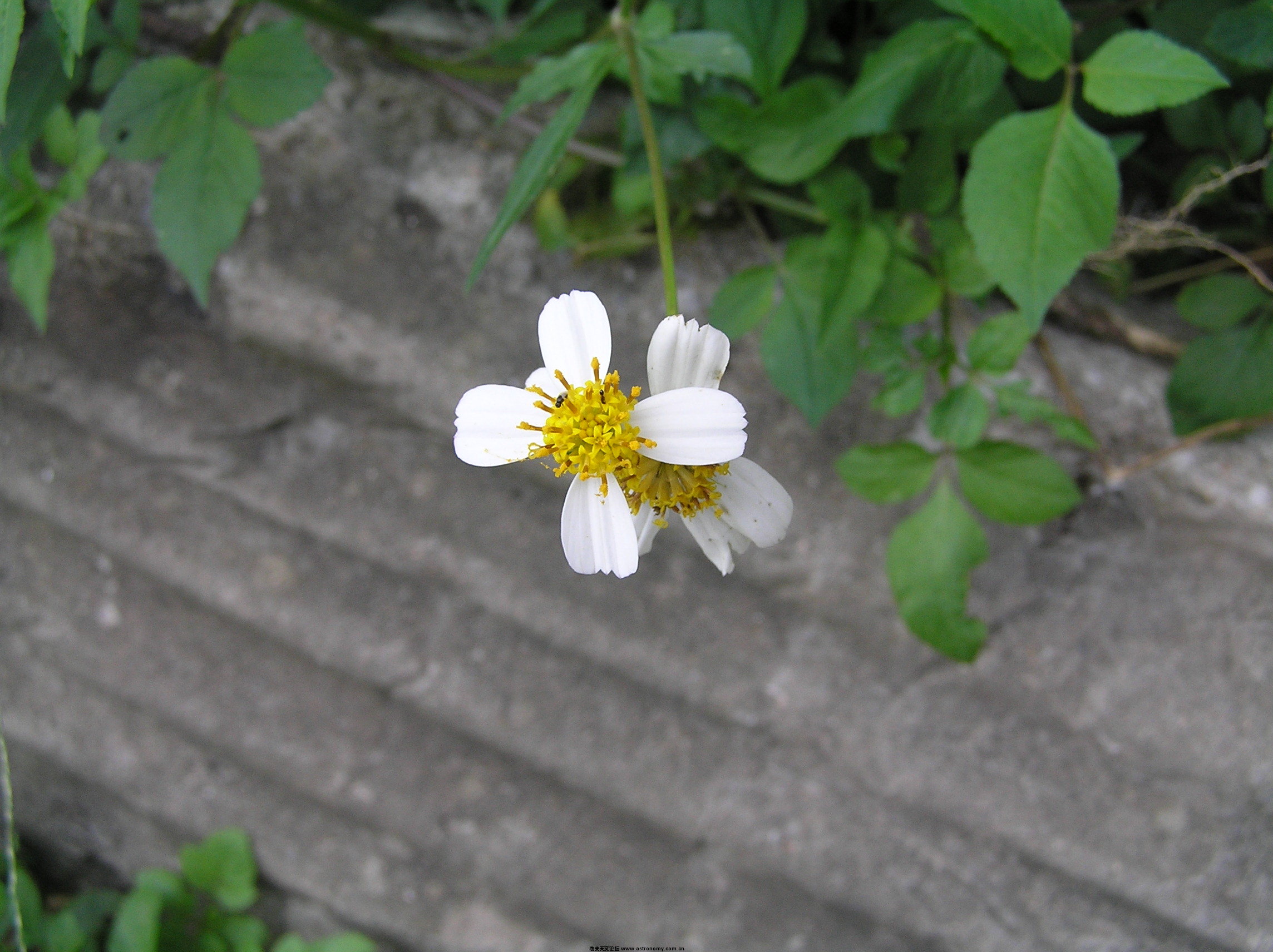 P1010109.JPG