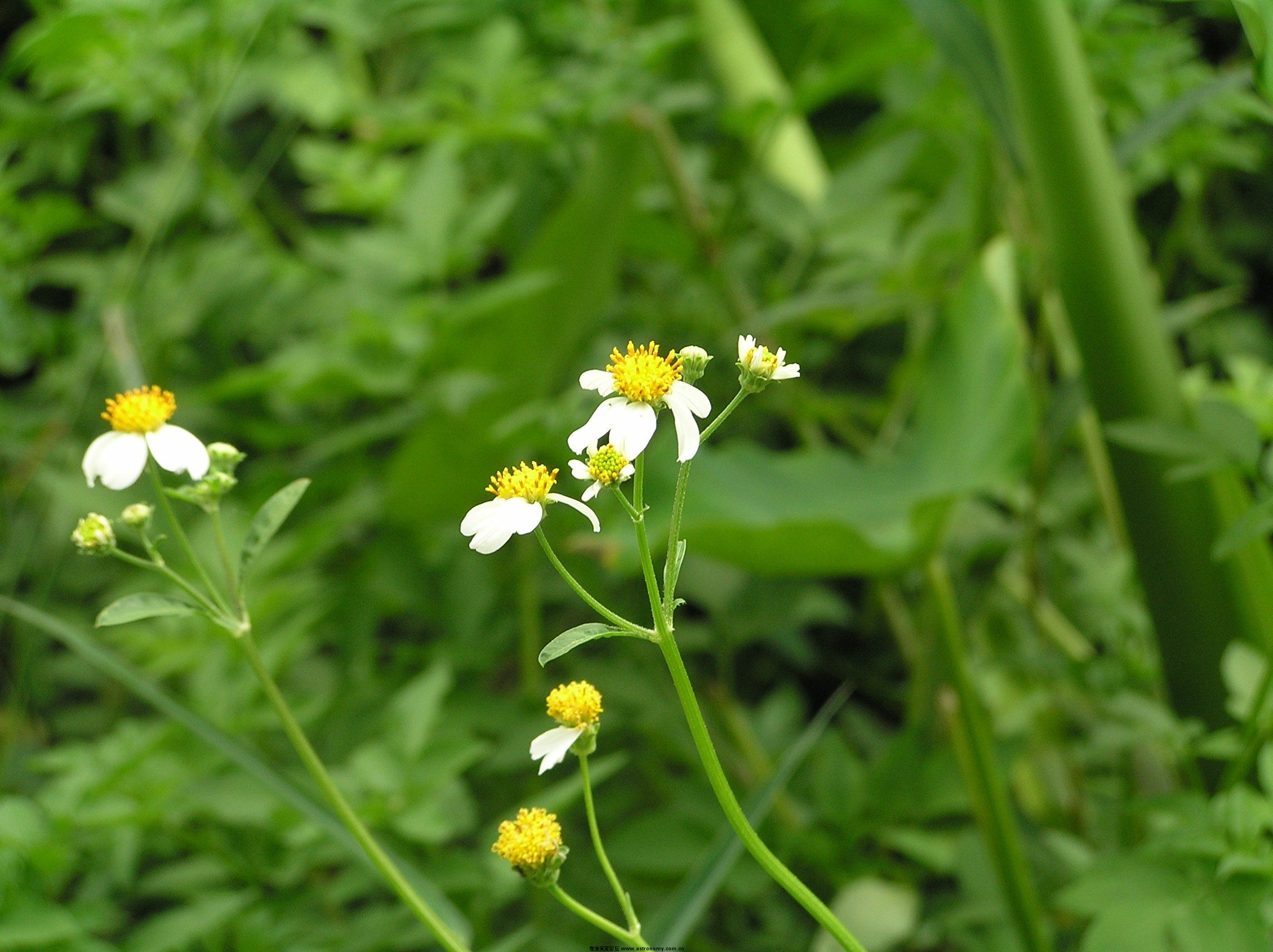 P1010116.JPG
