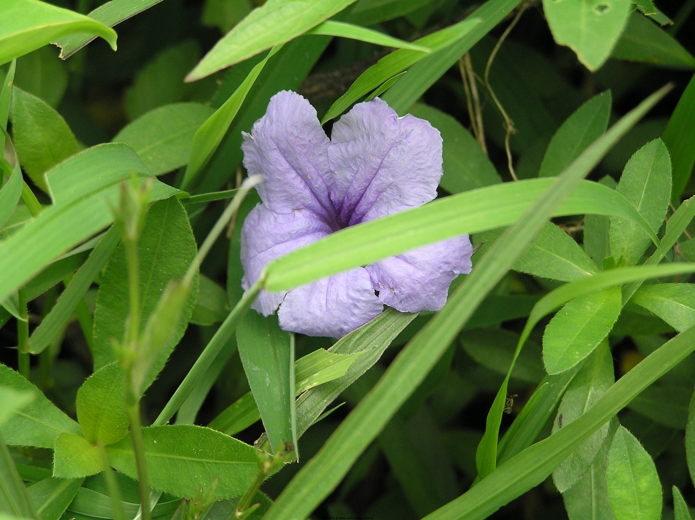 P1010111.JPG