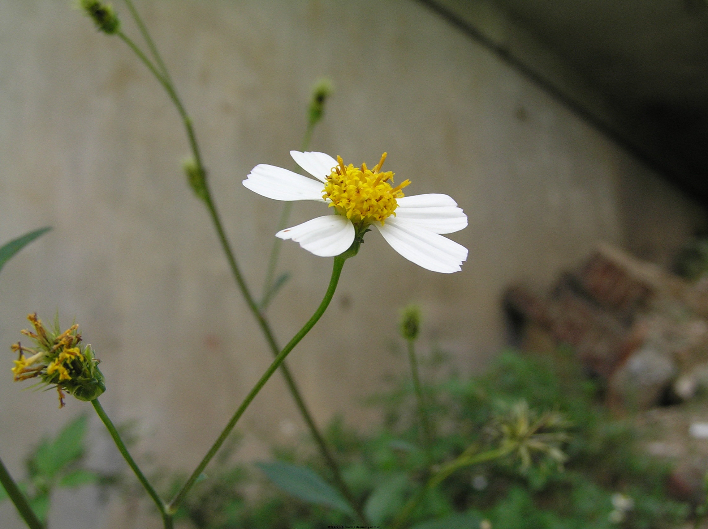 P1010121.JPG