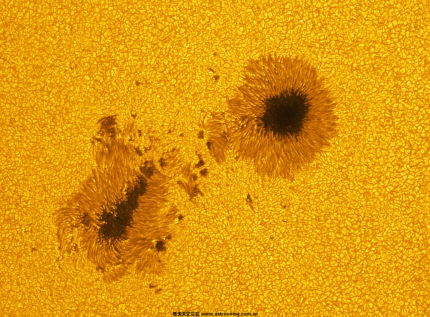 20110801_AR11263.jpg