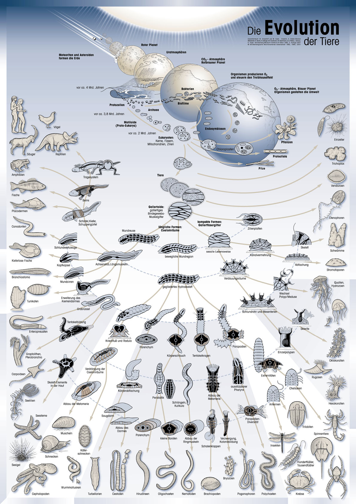 一张地球地质与生命演化的巨图,很直观简明