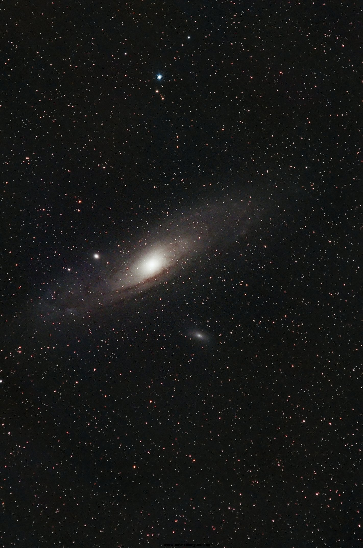 尼康345ed 第三拍 m31