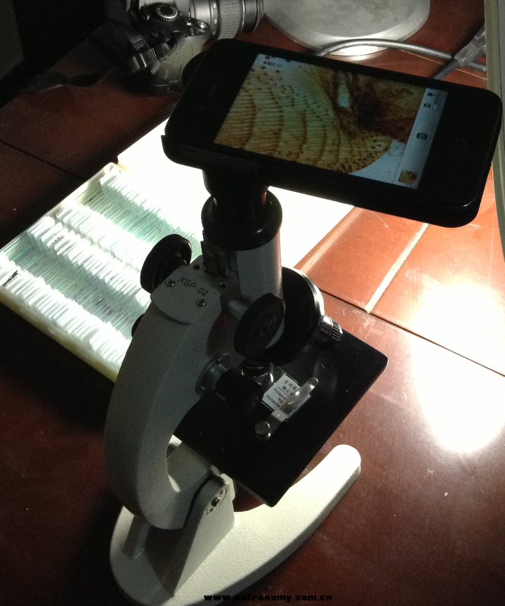 自制手机显微镜图片