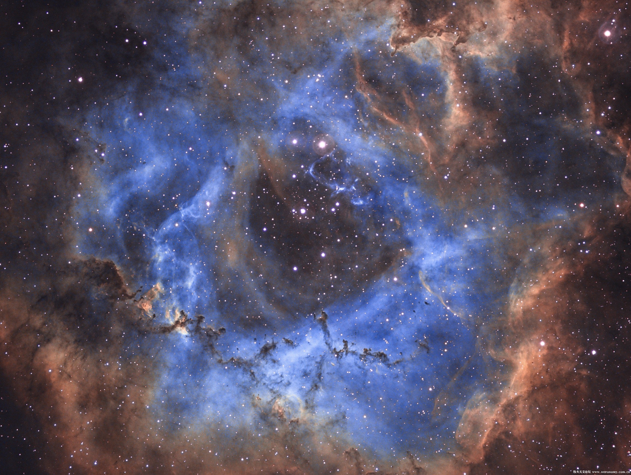 NGC 3878图片