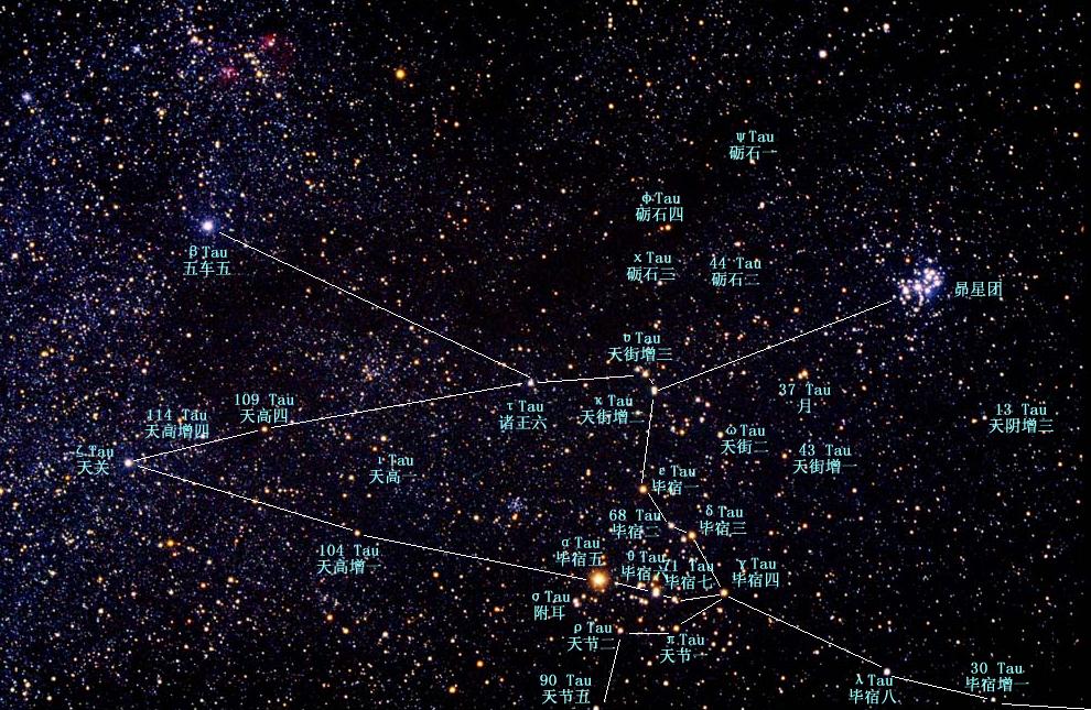 金牛座星宿图图片